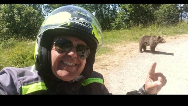 Tragedia per un motociclista, “Voleva solo fare una foto” l’incontro con l’orso è un dramma
