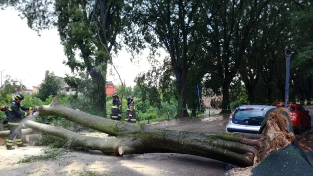 Maltempo in Italia: grandine e forti venti causano allagamenti e caduta di alberi, è allerta
