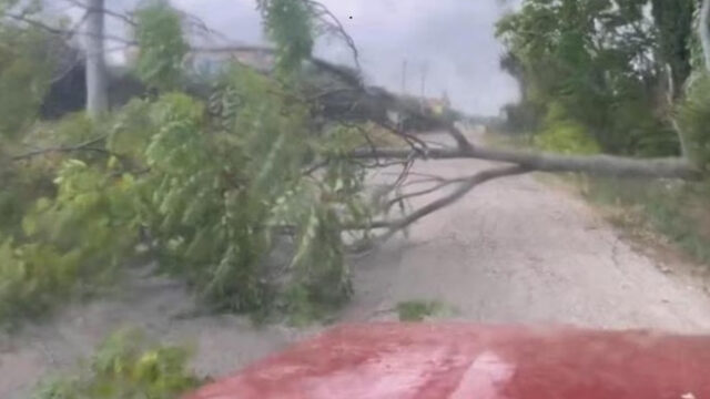 Tempesta di ghiaccio in centro città: danni e allagamenti, la paura di di chi ha vissuto il momento