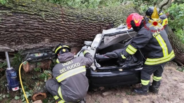 “Tutto devastato” Emergenza maltempo a causa di una violenta tromba d’aria: alberi abbattuti e danni ingenti, i soccorsi sono a lavoro